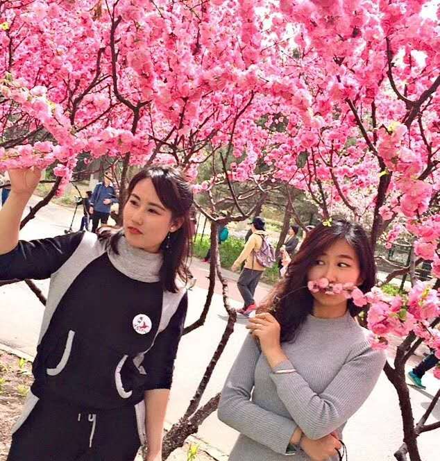 活动图